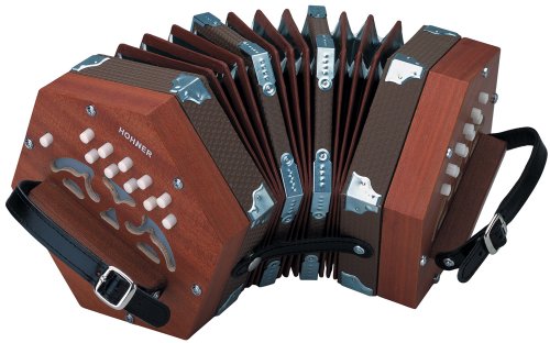 concertina accordion